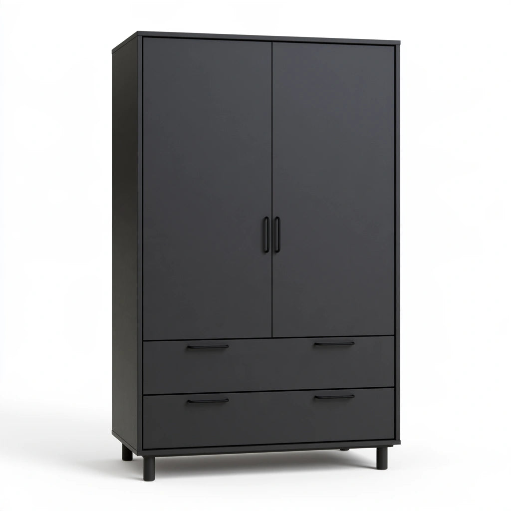 Armoire de rangement aux lignes épurées à deux portes, coloris gris foncé