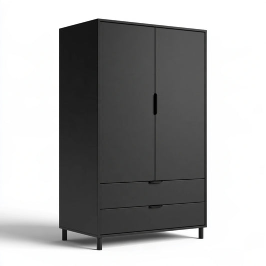 Armoire de rangement aux lignes épurées à deux portes, coloris gris foncé