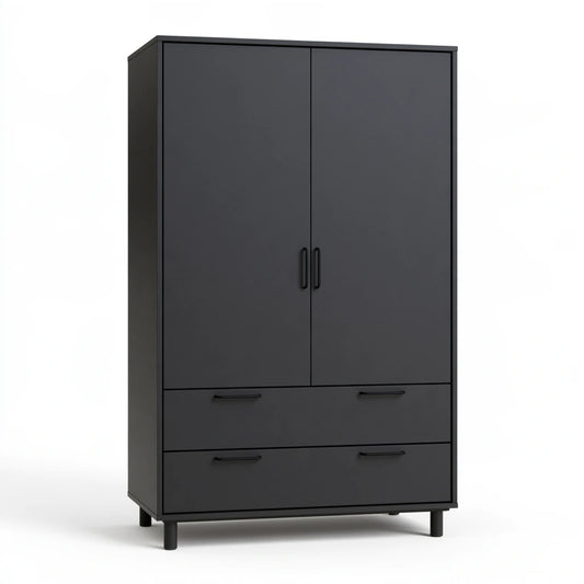 Armoire de rangement aux lignes épurées à deux portes, coloris gris foncé